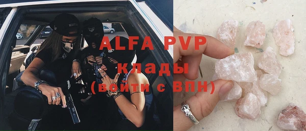ГАЛЛЮЦИНОГЕННЫЕ ГРИБЫ Белокуриха