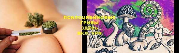 ГАЛЛЮЦИНОГЕННЫЕ ГРИБЫ Белокуриха