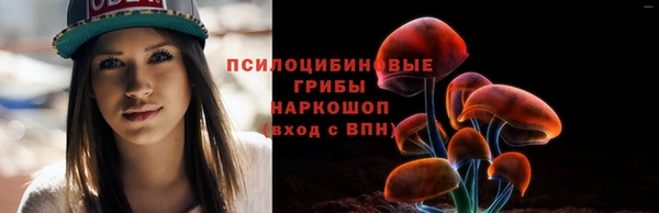 ГАЛЛЮЦИНОГЕННЫЕ ГРИБЫ Белокуриха