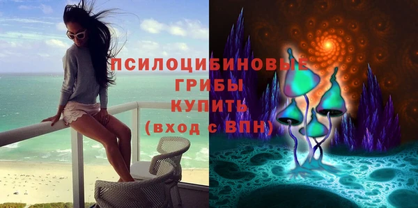 a pvp Беломорск
